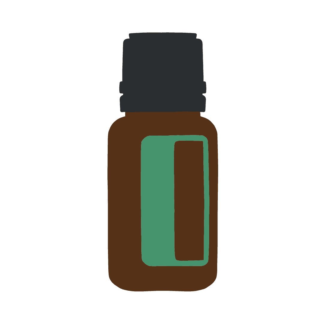 Balsam Fir - Бальзамическая пихта